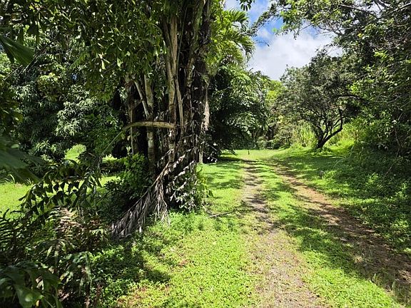 2nd image of 1063 Kauhikoa Rd