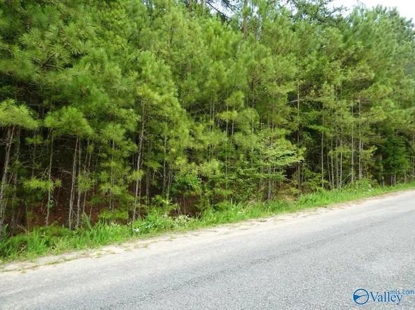 LOT 20 Arley Lndg, Arley, AL 35541
