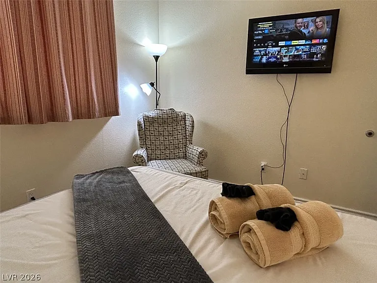 210 E Flamingo Rd #137 — Photo 15