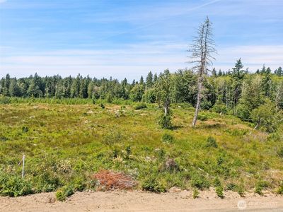 0 Tr 3 SE Wellswood Way, Shelton, WA, 98584