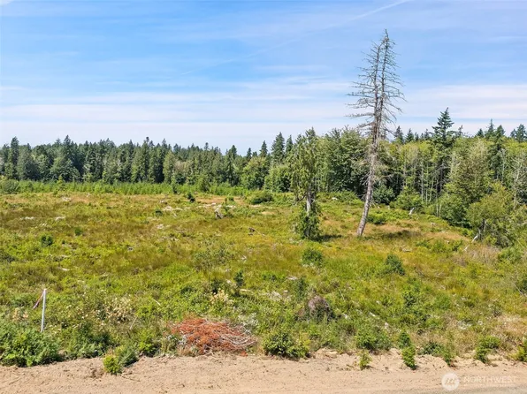 0 Tr 3 SE Wellswood Way, Shelton, WA 98584