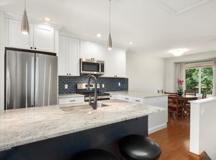 43 Spyglass Ln #43, Silverthorne, CO 80498