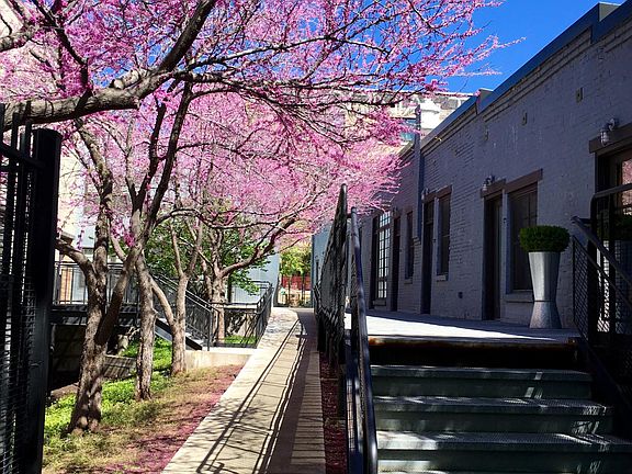 Gated & secured entry