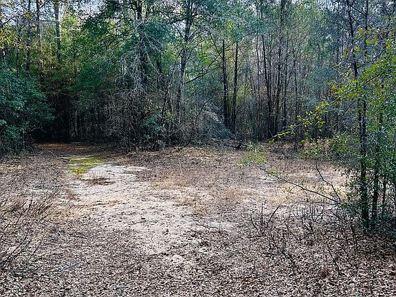 4th image of 0 Lovely Grove Church Rd