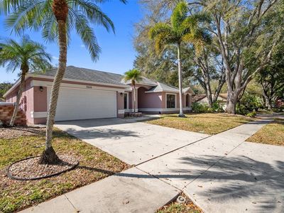 3040 Windridge Oaks Dr, Palm Harbor, FL, 34684