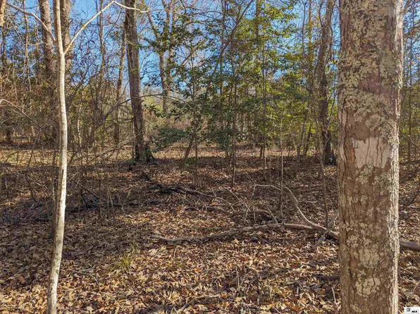 0 Butler Rd, Choudrant, LA 71227