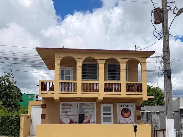 60 CALLE DEGETAU, AIBONITO, PR 00705