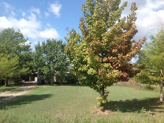 1st image of 155 Lakeside Cir