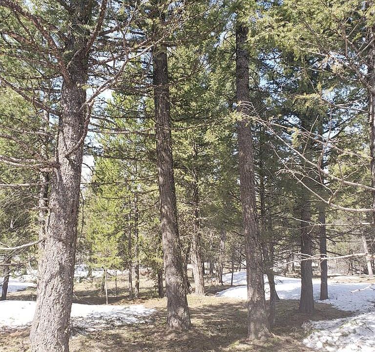 2nd image of 2849 NE Sagehen Dr