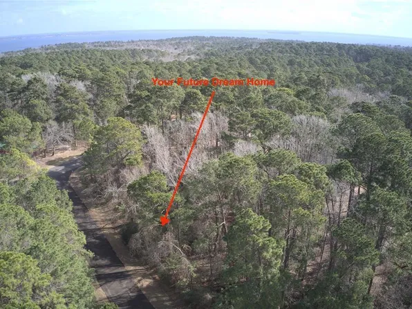 246 Green Tree Drive, Coldspring, TX 77331
