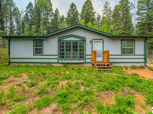 22 Silver Trl, Florissant, CO 80816