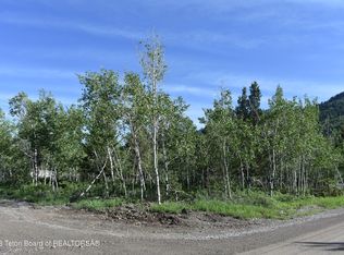 49 Middle Branch Dr, Thayne, WY 83127