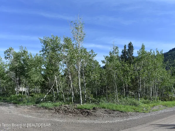 49 Middle Branch Dr, Thayne, WY 83127