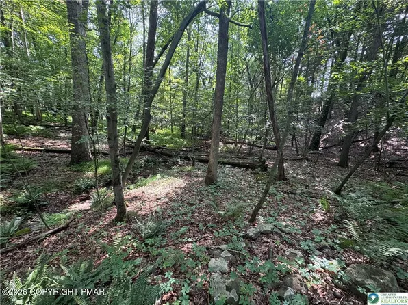 401 Par Dr #401, Kunkletown, PA 18058