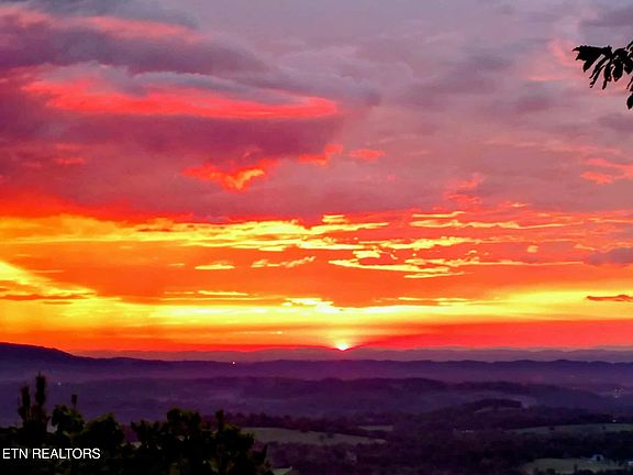 42nd image of this home