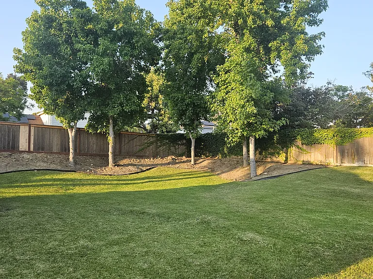 Back yard corner. Deep 1/3 acre
