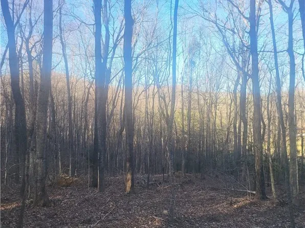 TBD Bluff Ridge Road, West Jefferson, NC 28694