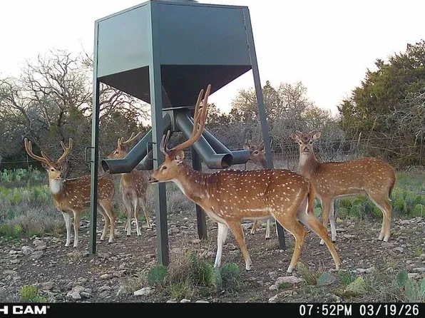 TRACT 3 Dominion Rd, Roosevelt, TX 76950