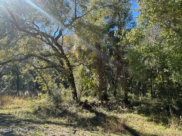 OOOO SE 225TH Drive, Hawthorne, FL 32640