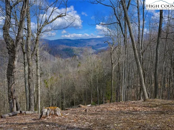 TBD Raspberry Lane, Elk Park, NC 28622