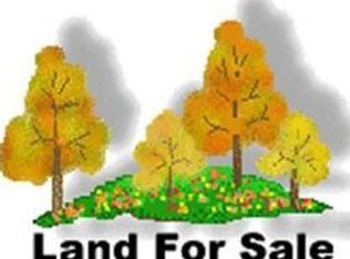 1763 W 52nd St, Carthage, MO 64836