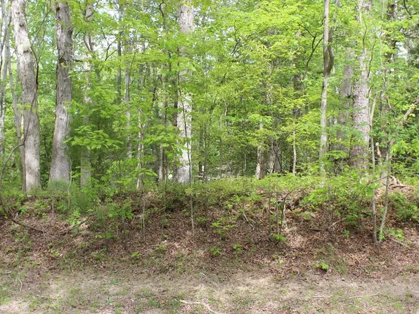 2269 Buccaneer Blvd, Greenbackville, VA 23356