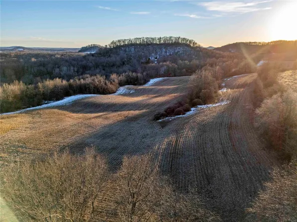 0 Highway 79, Clarksville, MO 63336