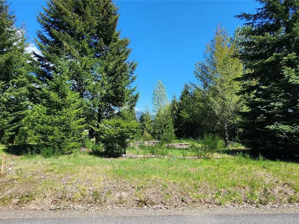 113 Cottonwood Lane, Packwood, WA 98361