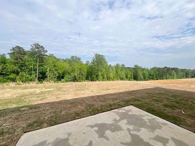 219 Blue Aspen Dr — Photo 23