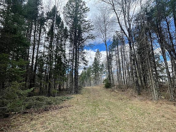 5th image of 81620 Pociask Rd