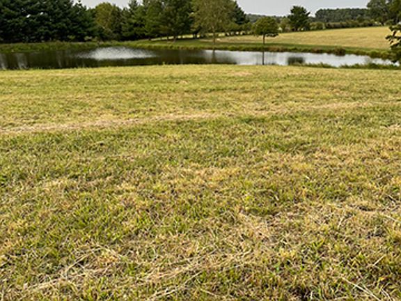 4th image of 2238 W Crossroads Rd