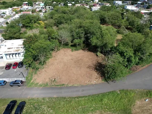 Bo Guayabo, Isabela, PR 00662