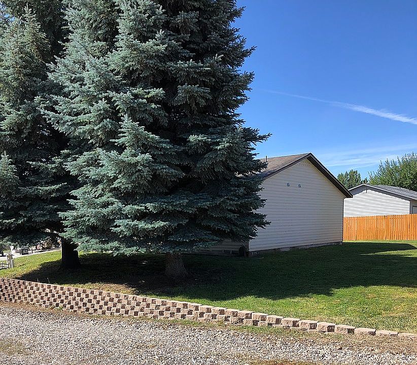 Nice yard, grass, trees