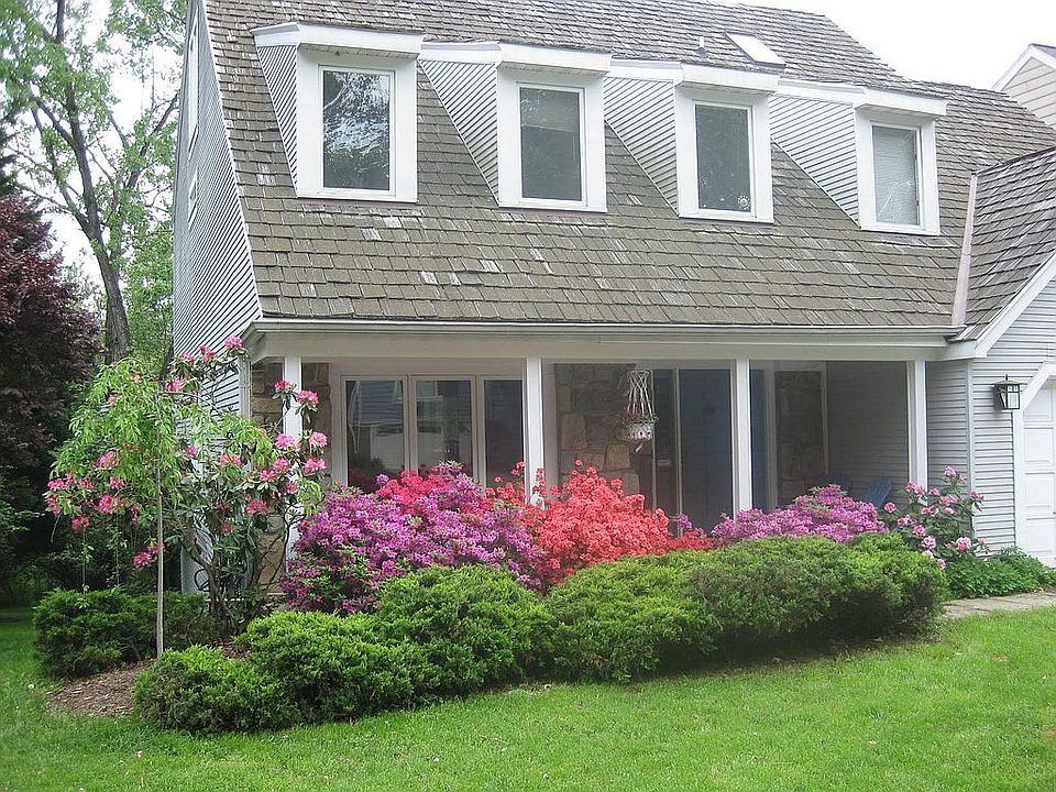 Weeping cherry & azaleas 
