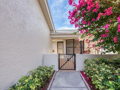 1304 Pasadena Ave S APT 3, South Pasadena, FL, 33707