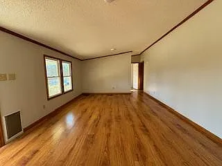 232 Frying Pan Hollow Rd — Photo 22