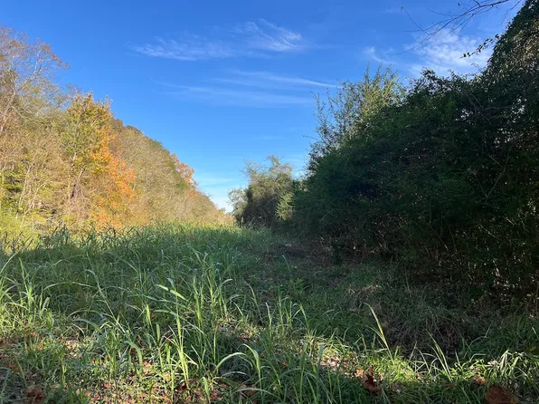 Seth West Rd Lot Wp005, Dover, NC 28526