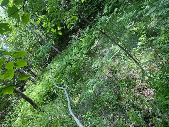 Lot 6 Pease Road, Canaan, ME 04924