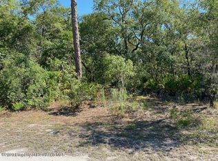 10425 Maybird Ave, Weeki Wachee, FL 34613