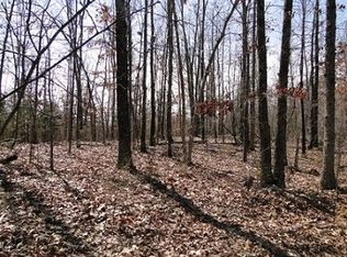 10552 New Home Rd, Falcon, MO 65470