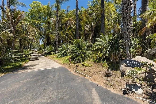 Main driveway to front of house goes through a palm grotto.