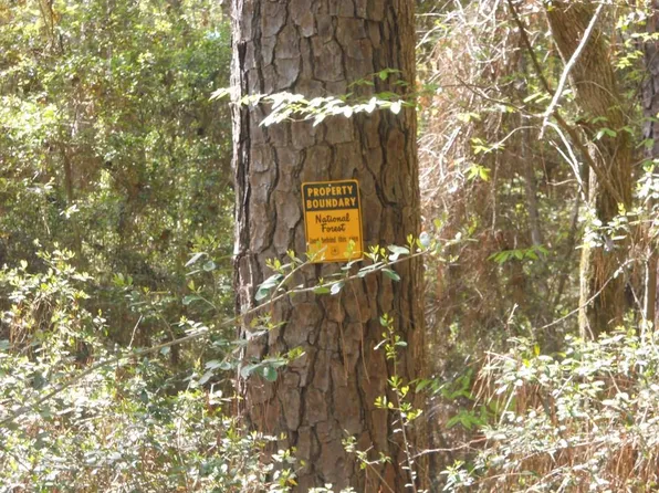 627 County Road 3373, San Augustine, TX 75972