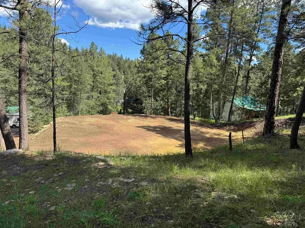 70 Will Scarlet, Mayhill, NM 88339