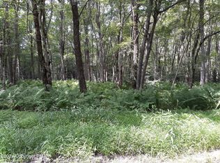 A141 Rosewood Dr, Jim Thorpe, PA 18229