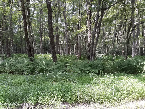 A141 Rosewood Dr, Jim Thorpe, PA 18229