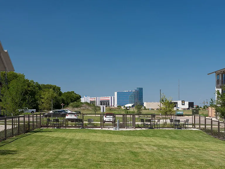 Dog Park