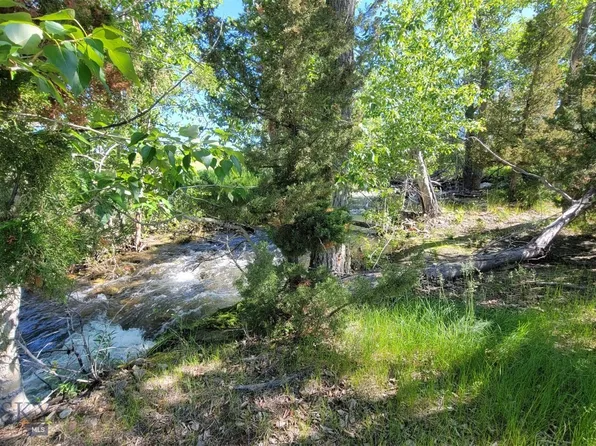 Wet Georgia Rd S, Sheridan, MT 59749