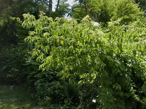 18 Third Avenue, Albany, NY 12202