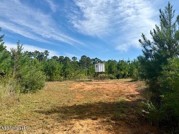 3rd image of Beartown Rd