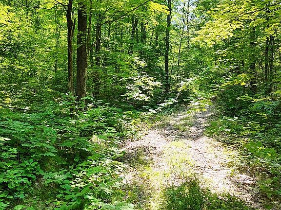 2nd image of Lot 15 Wolf Lane